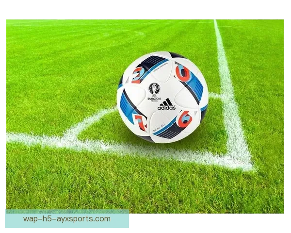 足球直播360在线直播平台打造全方位赛事高清观赛体验即时互动